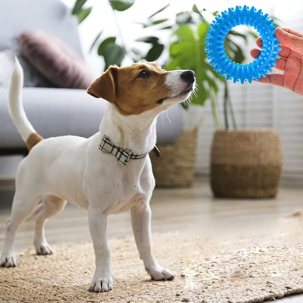 3Pcs Welpe Zähne Kauen Spielzeug Naturkautschuk Spielzeug Kleiner Hund Ring 360° Oral Zähne Beruhigen Jucken Welpe Kauen Für Mittlere Kleine Hunde